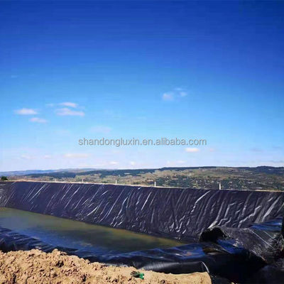 Liner en plastique noir Hdpe Ferme de poissons étang Liner piscine Géomembrane Hdpe haute densité