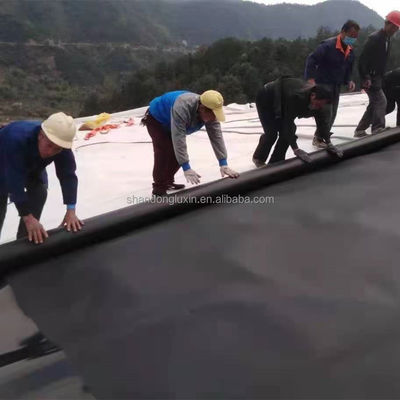 Géomembrane pour étang de petite taille 0,75 mm 1 mm HDPE stockage d'eau feuille de polyéthylène et service après-vente