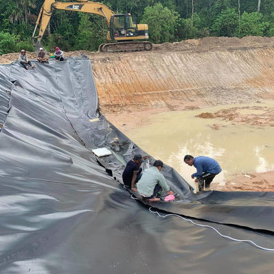 Surface lisse Geomembrane en HDPE de 0,75 mm pour les poissons et les crevettes