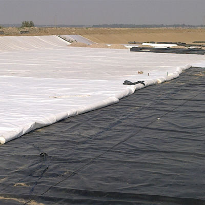 Liner pour étang de poisson en HDPE à géomembrane de 1 mm pour étangs agricoles en double texture blanche