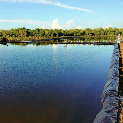 Style de conception industrielle 0,5 mm 0,75 mm 1 mm géomembrane HDPE pour revêtement d'étang agricole