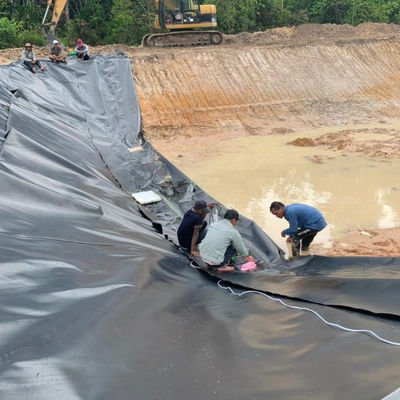 Style de conception industrielle 0,5 mm 0,75 mm 1 mm géomembrane HDPE pour revêtement d'étang agricole