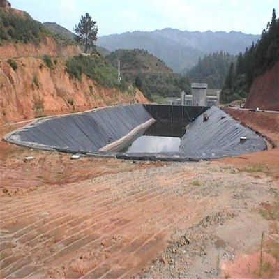 Style de conception industrielle 0,5 mm 0,75 mm 1 mm géomembrane HDPE pour revêtement d'étang agricole