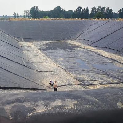 Appui technique en ligne Membrane de drainage pour les produits de terrassement en PEHD LDPE LLDPE imperméable à l'eau