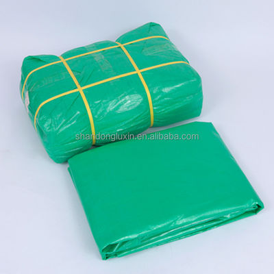 Densité personnalisée 6*6-16*16 PE Couverture de bâche pour camions 100% vert étanche