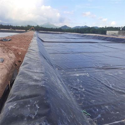Conception traditionnelle 0,5 mm 0,75 mm 1,5 mm géomembrane HDPE pour la capacité de solution de projet