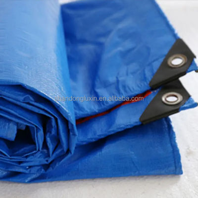 Taille personnalisée Tente PE Tarpaulin pour serre agricole imperméable à l'eau lourde