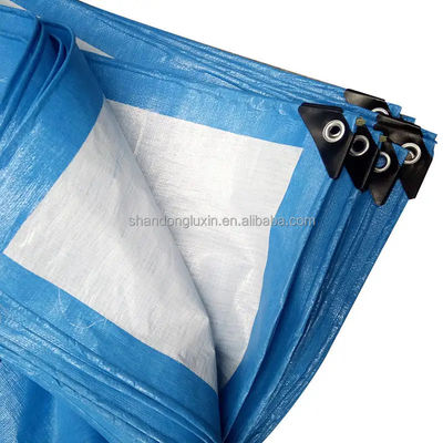 Taille personnalisée Tente PE Tarpaulin pour serre agricole imperméable à l'eau lourde