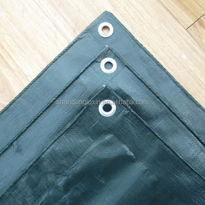 Taille personnalisée Tente PE Tarpaulin pour serre agricole imperméable à l'eau lourde