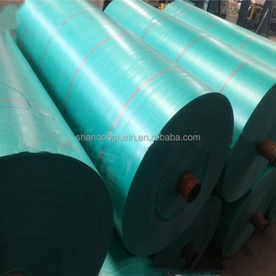 Produit directement de 160 gsm de bâches en PE vert pour tentes imperméables à la pluie et revêtements de toits de auvents