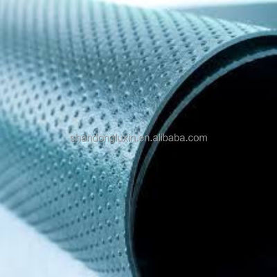 Membrane géomembranée en PEHD extérieure Membrane imperméable pour matériaux géosynthétiques EVA en PEHD