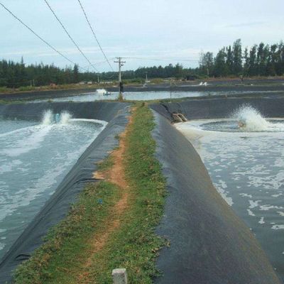 Géomembrane lisse noire pour l' étang de poisson, revêtement du fond dans les usines de traitement des eaux usées