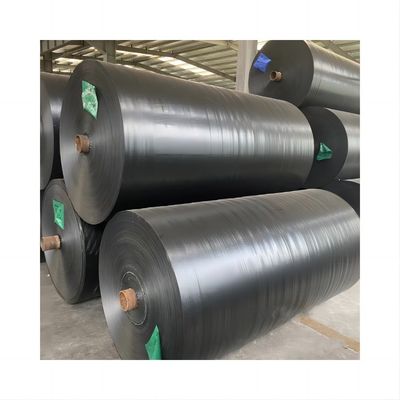 Étoffe à l'eau et à la lumière du soleil pour camions 3x4m 4x5m 4x6m Densité 8*8-14*14