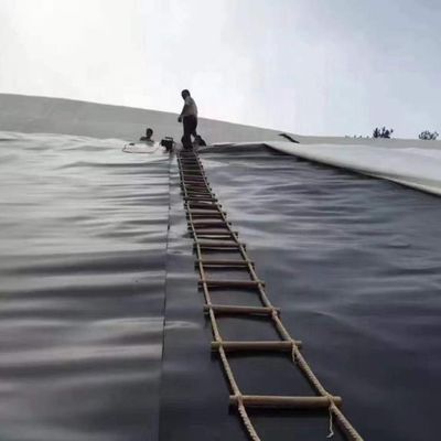 Géomembrane en HDPE de 1 mm et 2 mm pour revêtement des étangs de poissons et revêtement des barrages des réservoirs artificiels