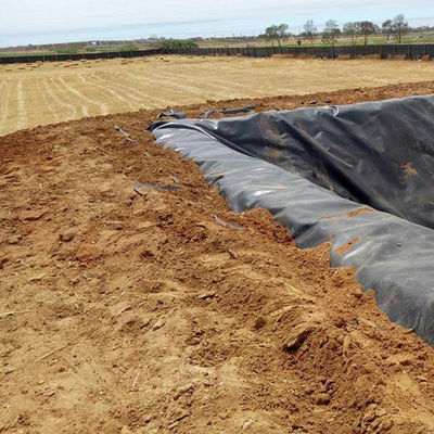 Géomembrane HDPE résistante aux déchirures de 1 mm et 2 mm pour revêtement d'étang de poisson résistant aux acides et aux alcalis