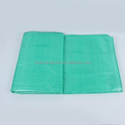Tarte de tôle d'échafaudage en PE pour bâtiments de construction Enveloppe 500D-1500D Compte de fil Anti-UV