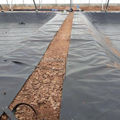 Géomembrane à texture unique pour les sites d'enfouissement Anti-filtration et prévention de la pollution