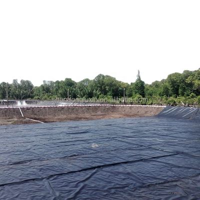 Géomembrane à double surface lisse 1 mm 2 mm pour décharges respectueuses de l'environnement