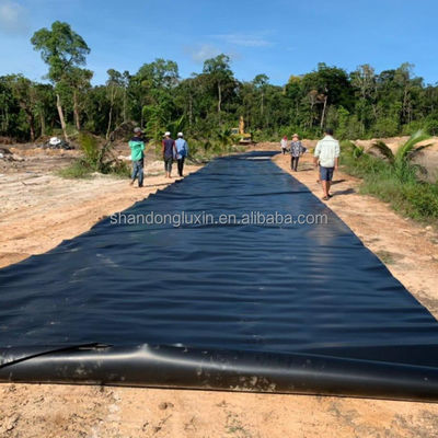 Géomembrane à double surface lisse 1 mm 2 mm pour décharges respectueuses de l'environnement