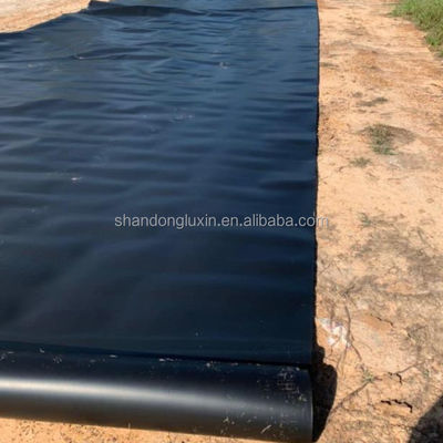 Géomembrane à double surface lisse 1 mm 2 mm pour décharges respectueuses de l'environnement