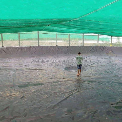 Moderne design Noir HDPE Géomembrane lisse 0,5 mm 1 mm pour les sites d'enfouissement et les étangs de poissons