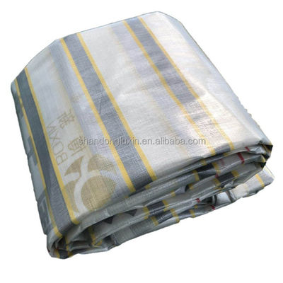 Étagère verte revêtue de PE pour gazebo imperméable Couverture 4X5m 5X7m Taille 19.6X32.8ft/6X10m