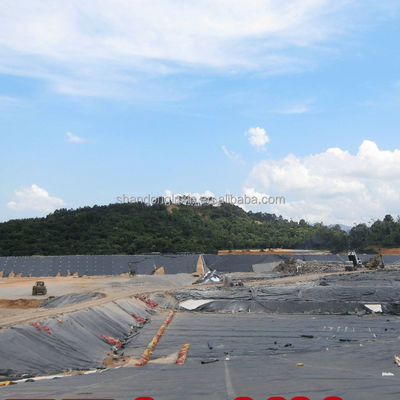 Liner étanche à la géomembrane en HDPE direct Liner géomembrane en HDPE de 2 mm pour barrage d'étang de poisson