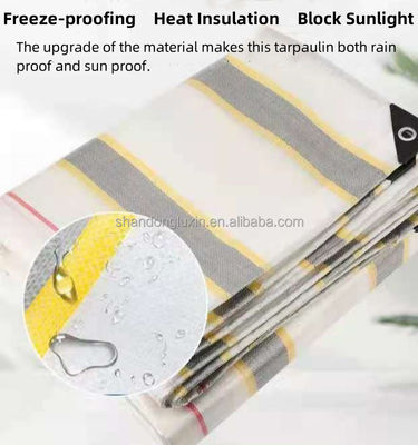 Tarte résistante aux taches pour les camions 50 gm-300 gm Tissu en PVC Design pliable