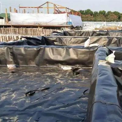 Étangs d'élevage de poissons Piscine Lagon Aquiculture Géomembrane en polyéthylène à haute densité 2 mm