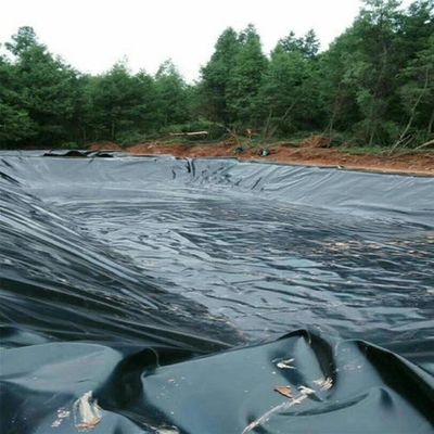 Veiller à ce que les réservoirs de stockage de l'eau avec double surface lisse en géomembrane en PEHD soient étanches aux fuites