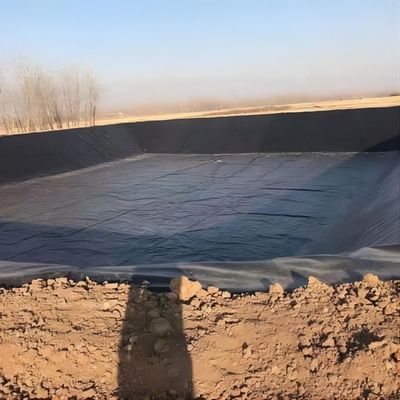 Épaisseur de 1 mm 2 mm Géomembrane pour étang de poisson Liner Résistance à la perforation Résistance aux déchirures