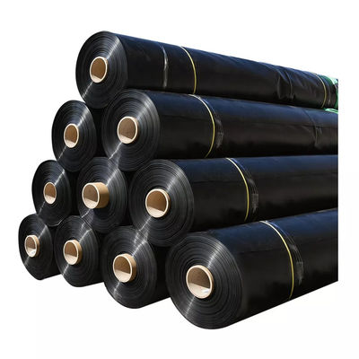 50-200m Longueur HDPE Géomembrane lisse 1 mm Liner d'étang de poisson Design moderne Durable