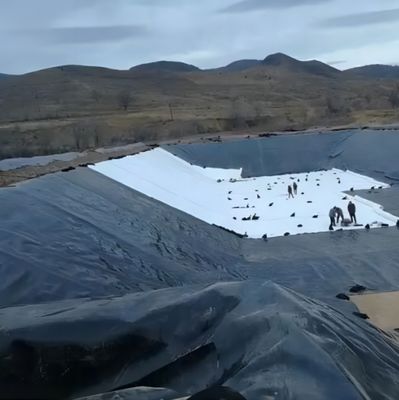 Ruloir de géomembrane en PEHD de 1 mm pour l'élevage de poissons de 1m à 8m Largeur croisée Catégories Consolidation