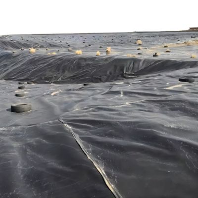 Ruloir de géomembrane en PEHD de 1 mm pour l'élevage de poissons de 1m à 8m Largeur croisée Catégories Consolidation