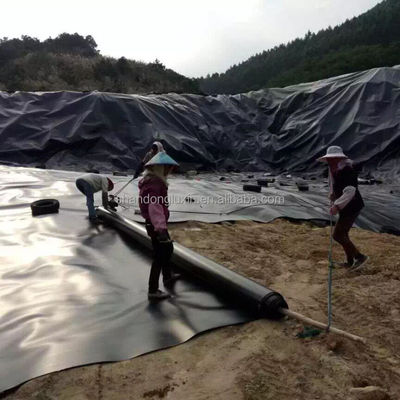 2 mm noir HDPE géomembrane étanche à la crevette pour étang de pêche de crevettes pour bâtiment d'aquaculture