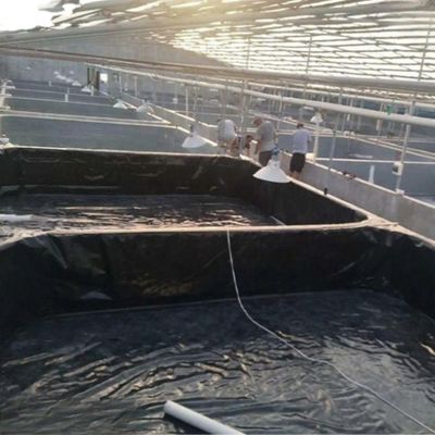 ISO9001 Norme de géomembrane en PEHD Prévenir l'eau et les fuites avec vente directe