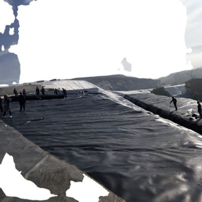 Capacité de conception graphique Style industriel HDPE Geomembrane Liner 1,0 mm pour étang