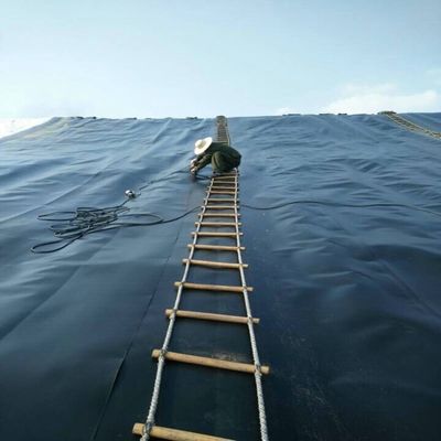 LLDPE réservoir liner 1,5 mm pour le barrage en plastique HDPE feuille de géomembrane 50-200m Longueur