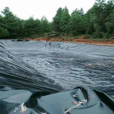 0.1mm-2,5mm épaisseur étang de pisciculture Hdpe géomembrane pour les applications industrielles
