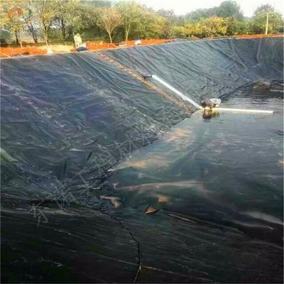 Protection de l'environnement PEHD géomembrane revêtement d'étang de poisson 1 mm 2 mm pour les décharges