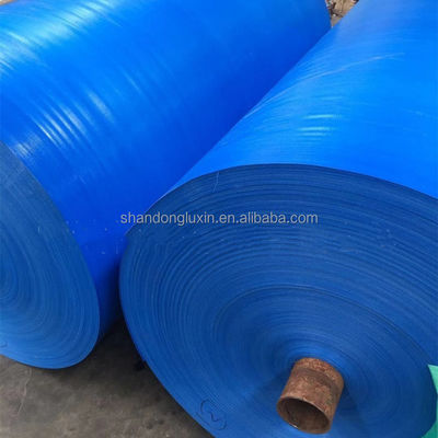 Couverture de camion imperméable PE Tarpaulin 120gm-300gm pour toutes les conditions météorologiques