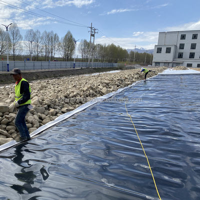 Les géomembranes en PEHD noir La protection ultime pour l'aquaculture