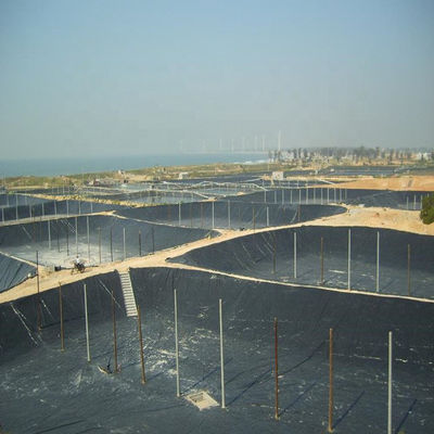 Géomembrane en HDPE noir personnalisable pour les étangs de poissons de 0,5 mm