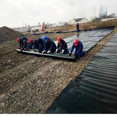 Liner d'étang de piscine à géomembrane en HDPE à double texture avec capacité de solution de projet
