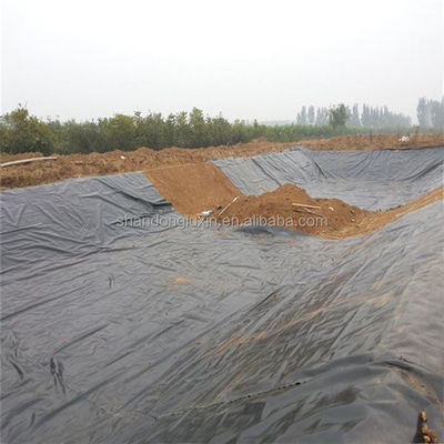 1.5 mm Geomembrane en HDPE noir pour le lac Dam Liner Farm Liner Style de conception industrielle