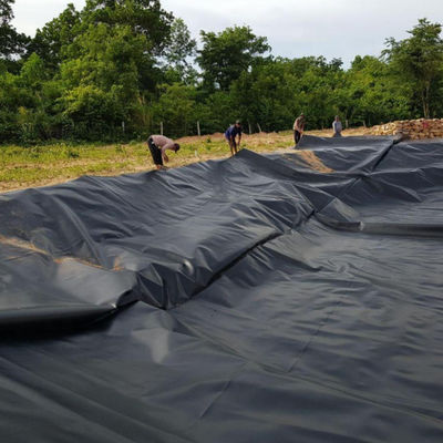 1.5 mm Geomembrane en HDPE noir pour le lac Dam Liner Farm Liner Style de conception industrielle