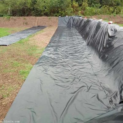 1.5 mm Geomembrane en HDPE noir pour le lac Dam Liner Farm Liner Style de conception industrielle