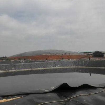 Appui technique en ligne 2 mm PEHD géomembrane étang liner pour l'élevage du poisson et les décharges