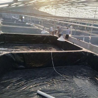 Géomembrane lisse 0,3 mm 0,5 mm Liner d'étang de poisson pour l'aquaculture Style de conception moderne
