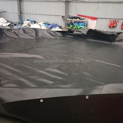 Liner de géomembrane HDPE personnalisable pour la ferme de crevettes dans les étangs de poissons dans le barrage du réservoir minier